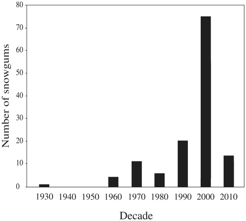 FIGURE 4. The age distribution of 130 seedlings and saplings below tree-limit ribbons by decade. Vertical bars indicate the number of snowgums along belt transects for the 10 years up to the date given.