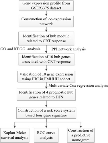 Figure 1 Flowchart of this study.Abbreviations: CRT, chemoradiotherapy; GO, Gene Ontology; KEGG, Kyoto Encyclopedia of Genes and Genomes; PPI, protein–protein interaction; IHC, immunohistochemistry; FMUUH, Fujian Medical University Union Hospital; DFS, disease-free survival; ROC, receiver operating characteristics.