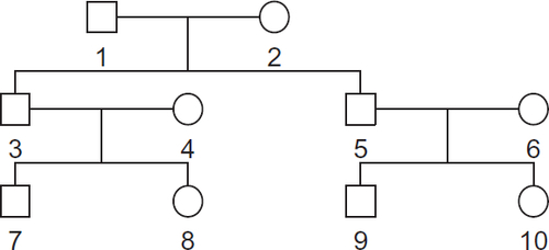 Fig. 2 Pedigree used for all families in the simulation studies. Circles indicate females and squares indicate males.