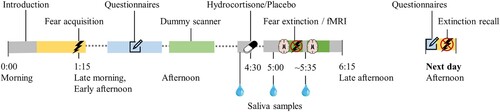 Figure 3. Timeline of study procedures per session in the pharmacological intervention and functional magnetic resonance imaging (fMRI) study. The first study visit typically starts around 10 or 11 a.m. (10:00 or 11:00 h), and the next-day visit typically starts around 3.15 or 4.15 p.m. (15:15 or 16:15 h).