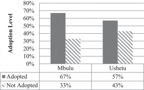 Figure 4. Adoption rates of maize storage technologies.