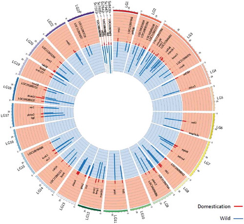 Figure 3. Circular representation of the Nile tilapia nuclear genome (linkage groups LG1-LG23 and scaffolds) showing 126 DhmCs. For visualization purposes the numbers in the scaffold symbols ‘Sc’ represent the last four digits in the accession number starting with ‘NW_02032’ in the NCBI database (e.g. ‘Sc7315’ represents scaffold ‘NW_020327315’). Gene symbols refer to the closest gene to the reported CCGG site. See Figure 1(a,c) for explanations of peaks. The 5hmC counts per genomic location and individual, as well as the standard deviation for the W and D groups in Figure 3 can be found in Supplementary Table S10.