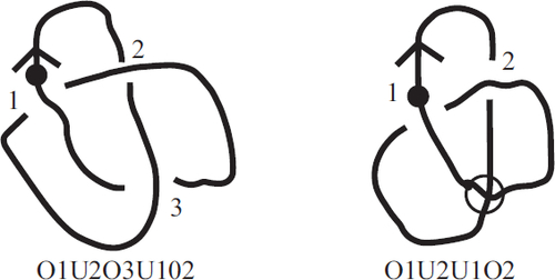 Fig. 1 On the left is the trefoil knot drawn using the Gauss code O1U2O3U1O2U3, as you can see by starting at the indicated point and following the knot along, writing down the crossings in the order you encounter them and whether you cross over or under until you return to the starting point. On the right we draw a knot diagram with the Gauss code O1U2U1O2. One must then introduce an extra “virtual crossing” to join the end back up to the starting point.