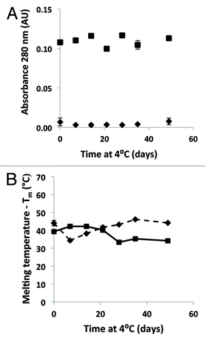 Figure 6. Stability of the pp-PA83 drug product. (A) Absorbance at 280 nm of pp-PA83 in saline with (♦) and without (■) Alhydrogel, as a function of time. (B) Tm of pp-PA83, determined by using the extrinsic fluorescence of SYPRO Orange, with (♦) and without (■) Alhydrogel, as a function of time.