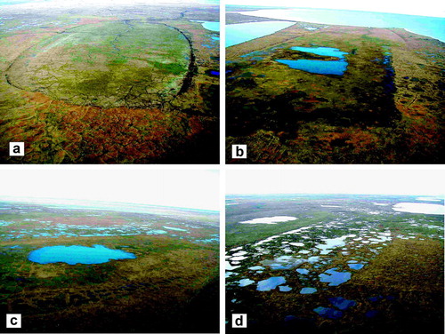 FIGURE 2. Oblique photographs of basins classified by relative age: (a) young, (b) medium, (c) old, and (d) ancient basin