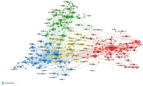 Figure 9. Co-citation network.