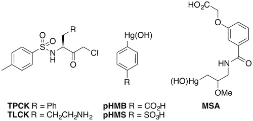 Figure 7. Structures of general protease inhibitors of Rce1.