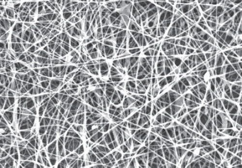 Figure 3. SEM image of novel nanocomposite fibers.