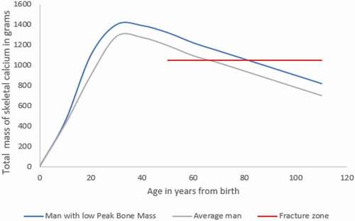 Figure 3. Schematic representation of the changes of bone mass with age. The grey line shows the theoretical consequence of a reduction in peak bone mass.(Data from (Ott Citation1990, Daly et al. Citation1999, Hernandez et al. Citation2003, Rizzoli et al. Citation2010, Anliker et al. Citation2012)