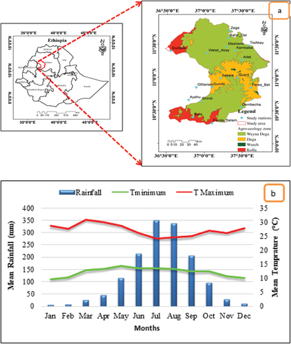 Figure 1. Location and agroecological map (a), mean monthly rainfall, minimum, and maximum temperatures (b) of west Gojjam zone, central highlands of Abbay Basin, Ethiopia.