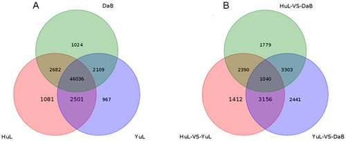 Figure 2. Distribution of expressed mRNAs in the leaflets of Caragana korshinskii collected from three sampling sites (Huangling, Yulin and Dalad Banner) along a precipitation gradient of Loess Plateau. Venn diagram of genes (A) and unique expressed genes (B) in Huangling, Yulin and Dalad Banner populations obtained by pairwise comparisons.