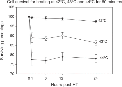 Figure 4. Assessment of cell viability at higher temperatures. The trypan blue dye-exclusion test was used to assess cellular viability after being heated at 43°C and 44°C for 60 min. Direct hyperthermia induced cytotoxicity reduced the percentage of viable cells to ∼88% for 43°C and ∼73% for 44°C as early as 1 h post-HT and this percentage remained constant up to 24 h post-HT.
