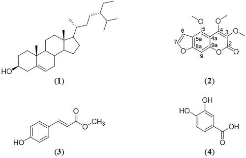 Figure 1. Chemical structures of β-sitosterol (1), halfordin (2), methyl p-coumarate (3), and protocatechuic acid (4).