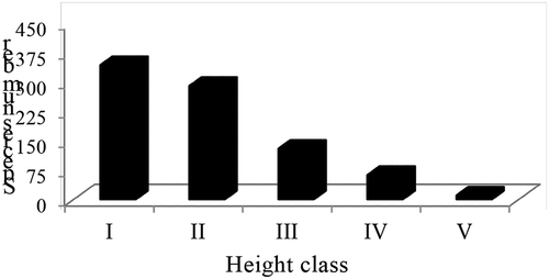 Figure 5. Distribution of woody plant species among height classes in Gelawoldie community forest.