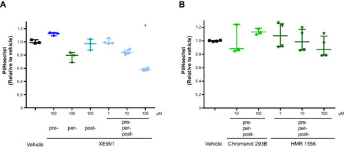 Figure 3 The left panel shows the protective effects of different XE991 administration schedules on HL-1 cell survival following simulated ischemia/reperfusion assessed by PI/Hoechst staining (A). XE991 was administered prior to ischemia (pre-), during ischemia (per-) or during reperfusion (post-) (100 µM XE991) or throughout the perfusion protocol (pre-, per-, post) (1+10+100 µM XE991). The right panel shows the effect of chromanol 293B (10+100 µM) and HMR 1556 (1+10+100 µM) administration throughout the perfusion protocol (pre-, per-, post-) compared to vehicle (B). XE991; KV7.1–5 blocker. Chromanol 293B and HMR 1556; KV7.1 blocker. Data are median (IQR). *P<0.05. All data are normalized to vehicle.