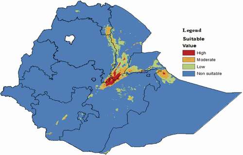 Figure 1. Habitat suitability for P. juliflora under current climatic conditions. Blue to red colors shows the gradient of suitability from low to high (Ahmed & Rezene, Citation2020)