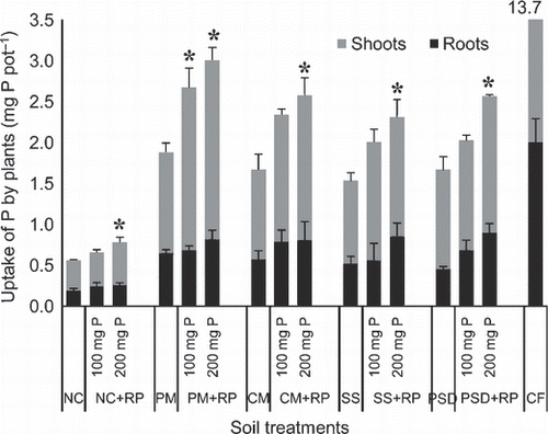 Figure 1 Uptake of P by African millet (Eleusine coracana) grown at three rates of rock phosphate (RP) application with no-compost (NC), chemical fertilizer (CF), and four different compost treatments; CM, cattle manure; PM, poultry manure; PSD, phosphorus-adjusted sawdust; SS, sewage sludge. Error bars represent standard deviation (n = 3). Asterisks indicate significant difference to the non-RP-amended treatment within each compost treatment group (Dunnett’s test, P < 0.05).