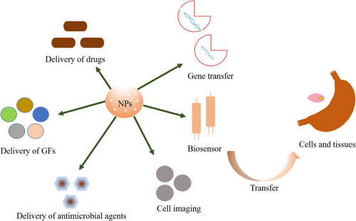 Figure 5 The major applications of nanoparticles.