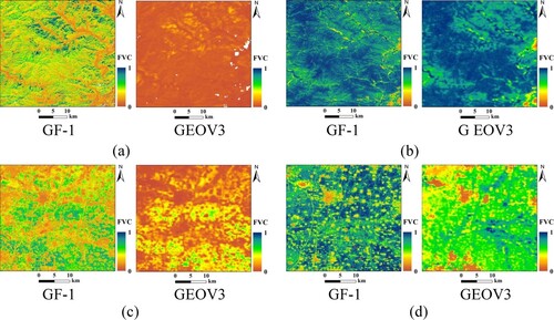 Figure 4. Comparison details of GF-1 FVC at 16 m spatial distribution compared with GEOV3 FVC at 300 m spatial distribution in 2019 for forest and crops types at regional areas. (a) DOY 011 for forest type; (b) DOY 191 for forest type; (c) DOY 011 for crops type; (d) DOY 191 for crops type.