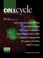 Cover image for Cell Cycle, Volume 6, Issue 12, 2007