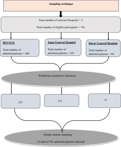 Figure 1 Schematic presentation of sampling procedure among hospital admitted patients in Eastern Ethiopia, 2022.