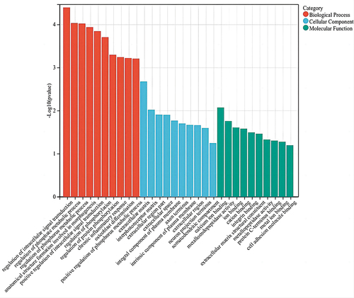 Figure 5 A bar plot of top 10 GO enriched biological process, cellular component and molecular process of linear counterparts of DECs in COPD-PH. The -log10 (p-value) yields an enrichment score representing the significance of GO term enrichment between differently expressed circRNAs.