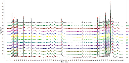 Figure 3. The overlay HPLC fingerprints of 12 batches of APPE. (1–10) by a similarity evaluation system that analyses sample similarity against a generated reference chromatogram (R).