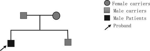 Figure 1. Family lineage chart.
