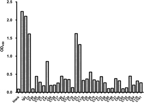 Figure 1. Representative results of hybridoma screening by competitive ELISA. The culture supernatants from hybridomas were mixed with HyIL-6 for analysis. The color formation is reported as an absorbance (OD450) observed for each hybridoma. The top 10 ranking antibodies were selected as antibody candidates based on their ability to neutralize the binding of HyIL-6 and sgp130-Fc. A bar graph showing the absorbance observed for each hybridoma.
