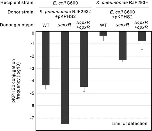 Figure 4. CpxR is required for the efficient transfer of the IncFII blaKPC-carrying pKPHS2 plasmid. Conjugation frequency of the pKPHS2 was determined using K. pneumoniae RJF293Z strains as donor and E. coli C600 as recipient; or using E. coli C600 strains as donor and RJF293H as recipient. (Verification of the pKPHS2 conjugation between E. coli C600 and K. pneumoniae RJF293, Figure S13)