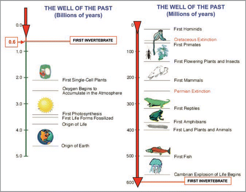 Figure 1 Schematic representation of the well of the past.