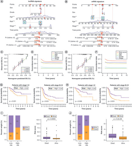 Figure 6. Prognostic value of the lncRNA and mRNA risk signatures. Overall survival probability of patients with bladder cancer at 1, 3 and 5 years was predicted based on nomograms created using the lncRNA (A) and mRNA (B) risk signatures. Calibration curves showing deviation from the predicted results of the lncRNA (C) and mRNA (D) risk signatures. Concordance index values of the risk scores from the lncRNA (E) and mRNA (F) risk signatures. Kaplan–Meier curves for the lncRNA (G) and mRNA (H) risk signatures for low- and high-risk subgroups of patients with bladder cancer (BLCA) according to the tumor–node–metatstasis stage. The distribution of survival statuses of patients with BLCA between low- and high-risk groups for lncRNA (I) and mRNA (J) risk signatures.