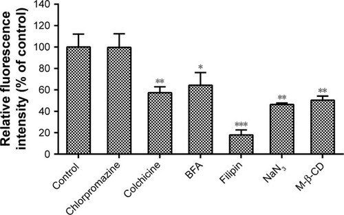 Figure 6 Cellular uptake analysis of C6-loaded LCS_NPs after incubation with different endocytic inhibitors by flow cytometry.Notes: 4T1 cells were cultured in serum-free medium for 1 hour containing chlorpromazine (10 µg/mL), colchicine (4 µg/mL), BFA (5 µg/mL), Filipin (5 µg/mL), NaN3 (3 mg/mL), M-β-CD (5 mg/mL), respectively. Before flow cytometry analysis, cells were cultured with C6-loaded LCS_NPs (1 µg/mL) for another 1 hour (n=3, mean ± SD). *P<0.05 vs control, **P<0.01 vs control, ***P<0.001 vs control.Abbreviations: BFA, brefeldin A from penicilliumbrefeldianum; C6-loaded LCS_NPs, coumarin-6-loaded lecithin–chitosan nanoparticles; M-β-CD, methyl-β-cyclodextrin.