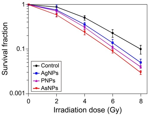 Figure 6 Effects of AgNPs, PNPs and AsNPs plus irradiation on colony formation of C6 cells.Notes: Data are shown as the mean ± SD (n = 3).Abbreviations: AgNPs, silver nanoparticles; PNPs, PEGylated silver nanoparticles; AsNPs, PEG- and As1411-functionalized silver nanoparticles; SD, standard deviation; n, number.