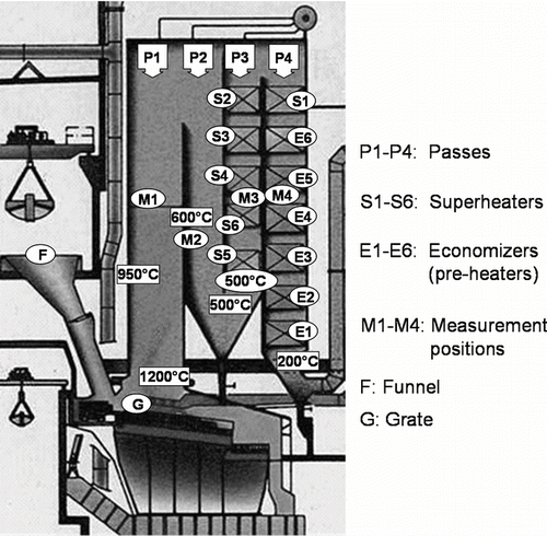 FIG. 5 Cross section of the MSI boiler investigated.