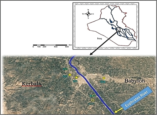 Figure 2. Locations of wells and bore holes in the study area.