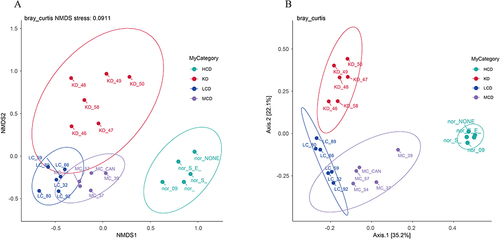 Figure 6 Effects of different carbohydrate diets on β diversity of intestinal microflora in diabetic ApoE−/− mice. KD group: ketogenic diet group (n=6); LCD group: low-carbohydrate diet group (n=6); MCD group: medium carbohydrate diet group (n=5); HCD group: high-carbohydrate diet group (n=5) (A) The NMDS analysis for β diversity. (B) PCoA analysis for β diversity.