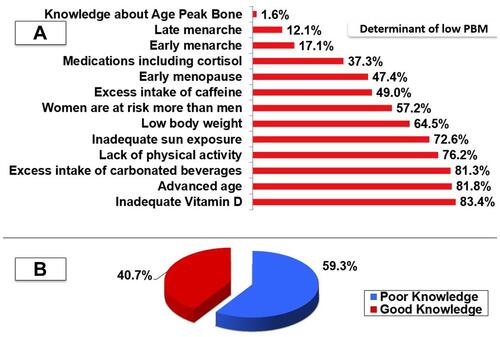 Figure 1 (A) Females’ Knowledge about age of PBM accrual and determinants of peak bone mass. (B) Level of knowledge about bone health among studied females.