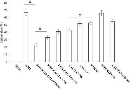 Figure 8. In vivo effects on infarct size when different formulations were used (* means P < .05).