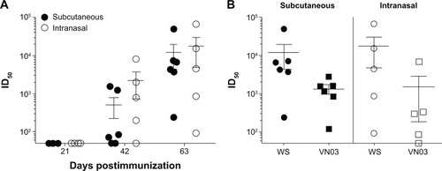 Figure 2 Immunogenicity of soluble H53 antigen.Notes: (A) Mice were immunized subcutaneously or intranasally with 10 μg soluble H53 on days 0, 21, and 42. Sera collected at days 21, 42, and 63 after primary immunization were tested for neutralizing antibody. Neutralizing antibody titers were not detected until after the second immunization; however, titer generated by days 42 and 63 were robust. (B) The neutralizing antibody titers demonstrated cross-clade protection at 63 days with both immunization routes. Error bars represent the standard error of the mean.Abbreviations: H53, H5 hemagglutinin trimer; ID50, sera dilution that inhibits 50% of pseudovirus infectivity.