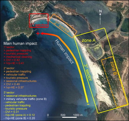 Figure 3. Schematic representation of main human impacts on dune habitats. The three sectors selected for the analysis are also outlined.