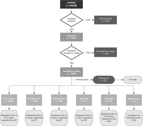 Figure 1 Consort diagram. The diagram shows the allocation of the invited candidates, distribution of aortic diameters, and recommended follow-up regime depending on measured aortic diameter.