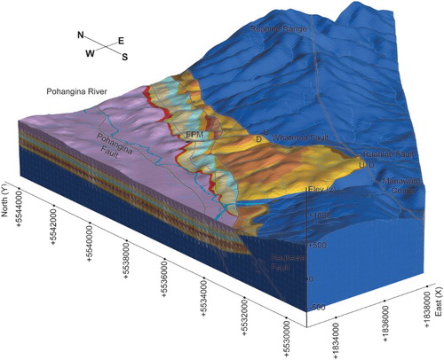 Figure 7. Preliminary 3D geological model of the Lower Pohangina Valley looking northeast. Deeply incised and eroded Plio-Pleistocene coverbeds unconformably overly Torlesse Group, exposed by uplift and erosion adjacent to the axial range. Note this is a schematic representation of the geology displayed on the 1:30,000 geological map and interpreted subsurface geology from cross section analysis. Geological data sourced from Ower (Citation1943), Rich (Citation1959), Piyasin (Citation1966), Marden (Citation1984), Beanland (Citation1995), Beu (Citation1995) and Rees (Citation2015). Topographic data sourced from LINZ Data Service, Crown Copyright Reserved. Model constructed using LeapfrogTM software developed by ARANZ Geo.
