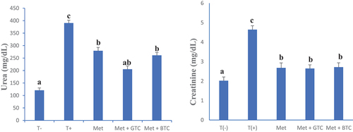 Figure 8. Serum urea and creatinine concentrations in animals after 28 days of treatment. T (-): Healthy control; T (+): untreated diabetics; MET: Metformin; GTC: Green tea; BTC: Black tea. a and b: On the same graph, bands with different letters differ significantly (p < .05).