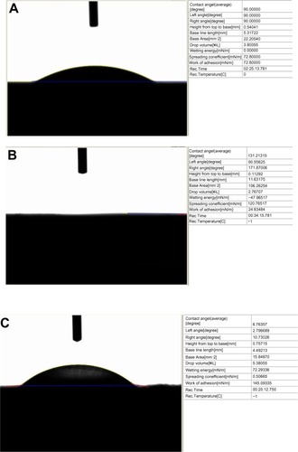 Figure 2 Contact angles on the samples of interest to the present study: (A) contact angle on plasma-sprayed hydroxyapatite on titanium =90°; (B) contact angle on electrophoretic-deposited (EPD) hydroxyapatite on titanium = complete wetting; (C) contact angle on plain titanium =6°.