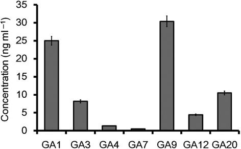 Figure 1. Detection of gibberellins in the culture broth of Photorhabdus temperata M1021. The analysis for the presence of various bioactive and inactive GAs in the culture extract was undertaken according to the Lee et al. (Citation1998). The concentrations of different types of GAs were calculated in ng ml−1. Mean values were calculated from the results of three replicates; error bars show standard deviations.