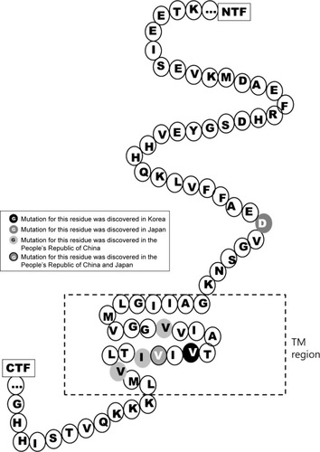 Figure 1 Mutation residues in APP discovered in Asian countries.Abbreviations: CTF, C-terminal fragment; NTF, N-terminal fragment; TM, transmembrane domain.