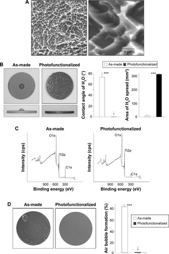 Figure 1 Surface characterization of titanium disks with or without photofunctionalization.Notes: (A) Low- (left) and high- (right) magnification SEM images of acid-etched titanium surfaces used in this study. (B) Top- and side-photographic views of 10 μL ddH2O placed on as-made (acid-etched) and photofunctionalized (acid-etched and photofunctionalized) titanium disks. The calculated contact angle and the area of spread of ddH2O droplet are also shown. ***P<0.001, significant difference between as-made and photofunctionalized titanium. (C) XPS spectra of titanium surfaces with or without photofunctionalization. (D) Air bubble formation on titanium surfaces after 1-day immersion in SBF. Representative photographic images of titanium disks are shown (left). The coverage of air bubbles is quantified relative to the titanium area in %. ***P<0.001, significant difference between as-made and photofunctionalized titanium. The arrows in B and D denotes the value was 0.0±0.0.Abbreviations: SEM, scanning electron microscopy; XPS, X-ray photoelectron spectroscopy; SBF, simulated body fluid.