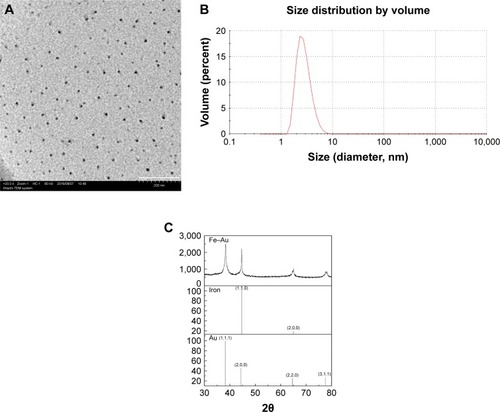 Figure 2 Characterization of NFAs.Notes: (A) TEM image of NFAs (scale bar =200 nm). (B) DLS to analyze the size distribution of NFA nanoparticles. (C) XRD patterns of gold, iron, and resulting NFAs.Abbreviations: NFA, Fe–Au alloy nanoparticles; TEM, transmission electron microscopy; DLS, dynamic light scattering; XRD, X-ray powder diffraction.
