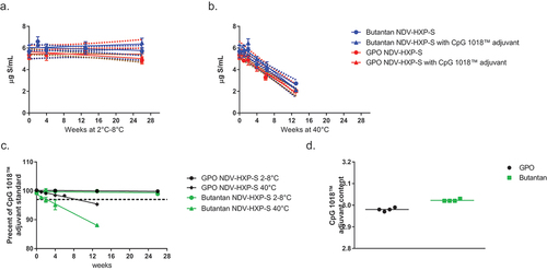Figure 4. 6-month stability of NDV-HXP-S with and without CpG 1018® adjuvant. NDV-HXP-S vaccine was prepared at 6 µg/mL S-antigen with and without 3 mg/mL CpG 1018® adjuvant in saline and held at 2°C to 8°C and 40°C. Samples were removed from temperature and tested for S-antigen content and stability by inhibition ELISA at selected timepoints. (a) NDV-HXP-S stability at 2°C to 8°C; (b) NDV-HXP-S stability at 40°C; (c) CpG 1018® adjuvant stability (integrity) at 2°C to 8°C and 40°C shown as a percentage of a CpG 1018® adjuvant standard tested at each time point; and (d) CpG 1018® adjuvant content at the beginning of the stability study. Methods provided by Dynavax technologies.
